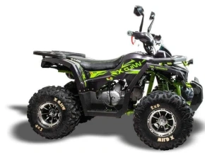 Квадроцикл Motoland (п) 125 WILD X PRO (2022 г.)