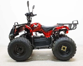 Электроквадроцикл Green Camel Атакама T120 (48V 800W R8 Цепь)