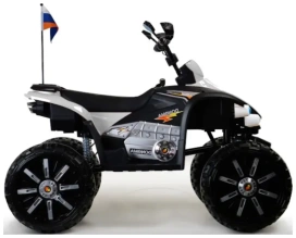 Детский электроквадроцикл Rivertoys P444PP