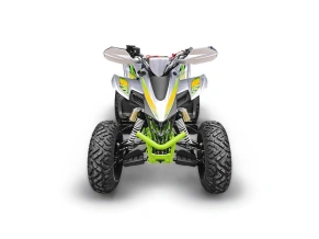 Квадроцикл YACOTA TYPHOON 250