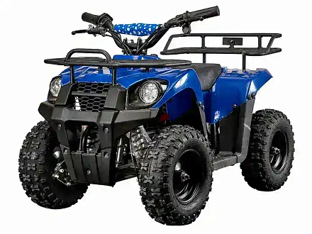 Квадроцикл YACOTA 800W