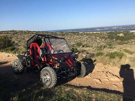 Багги Green Camel Намиб A5000 (60V 3999W R10 Дифференциал)