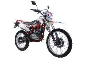Кроссовый мотоцикл Питбайк WELS MX250R для начинающих