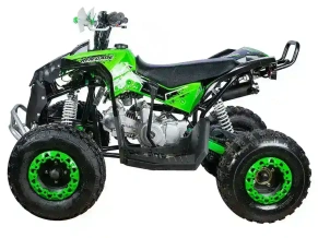 Квадроцикл YACOTA RENEGADE