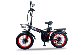 Электровелосипед Minako F10 Dual