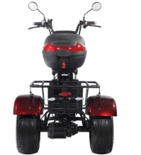 Электроскутер SKYBOARD CITYCOCO TRIKE BR80