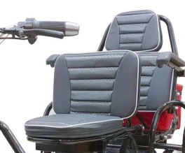 Электросамокат трехколесный двухместный HEADWAY S6
