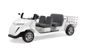 Гольфкар Elecar 5E-TIGARBO 4 Cabrio