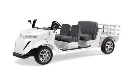 Гольфкар Elecar 5E-TIGARBO 4 Cabrio