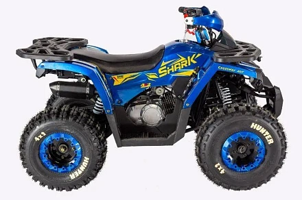 Квадроцикл Avantis HS8 Shark