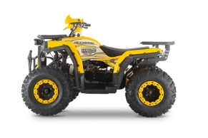 Квадроцикл WELS THUNDER Trail 200