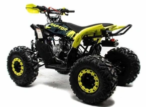 Квадроцикл Motoland 125 RAPTOR A