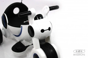 Детский электромотоцикл Rivertoys Moto HL300