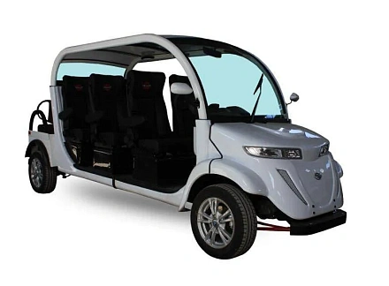 Гольфкар Elecar 5E-TIGARBO 6+2 (обивка черная)