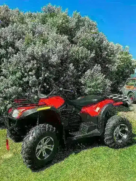 Электроквадроцикл Green Camel Сахара A14К 4x4 Monster (14kW 90 км/ч) блокировка