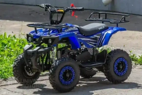 Квадроцикл WELS ATV THUNDER MINI 2T