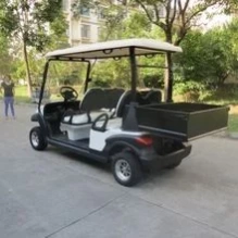 ГОЛЬФКАР Voltus CLUB 4 CARGO