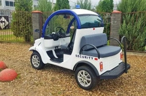 Гольфкар Elecar 5E-TIGARBO 2+2