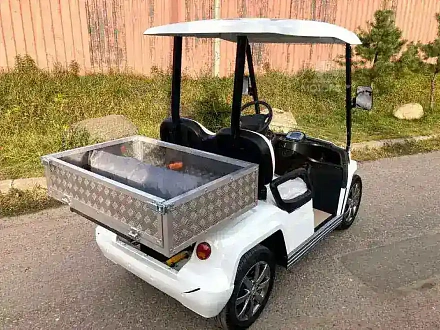 ГОЛЬФКАР КОНКОРДИЯ URBIS 2 С КУЗОВОМ