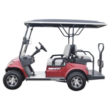 Гольфкар Green Camel LVTong  A22 (2+2, 4kW AC, R10)