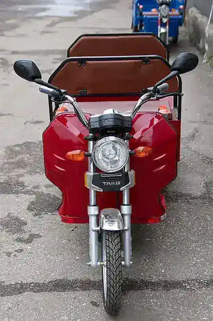 Электро-рикша TaiLG TDL800
