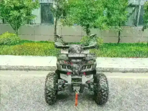 Квадроцикл MOTAX Grizlik T 200