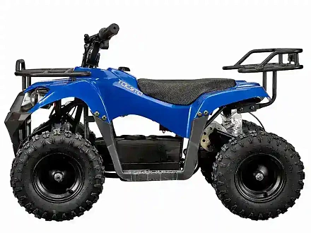 Квадроцикл YACOTA 800W