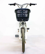 Электровелосипед Green Camel Транк-20 (R20 350W 48V) Алюм