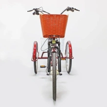 Электровелосипед Green Camel Трайк-24
