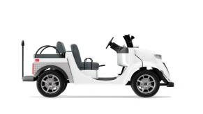 Гольфкар Elecar 5E-TIGARBO 2 Cabrio