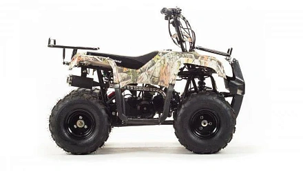 Квадроцикл Motoland 110 RIDER