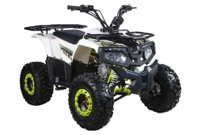 Квадроцикл YACOTA FUSION 125