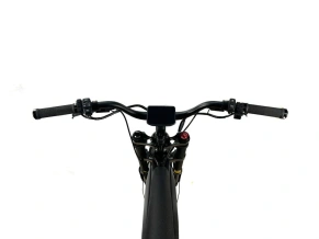 Электровелосипед Horza Reboot MAX