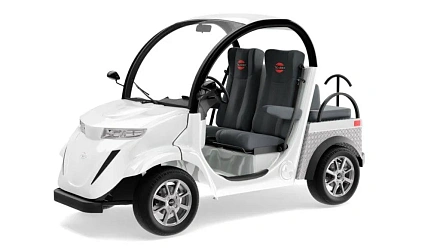 Гольфкар Elecar 5E-TIGARBO 2+2