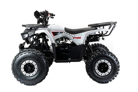 Квадроцикл Motoland 125 STORM