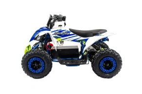 Электроквадроцикл Motoland ATV E010 1000W