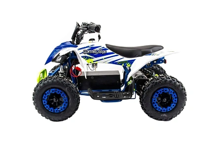 Электроквадроцикл Motoland ATV E010 1000W