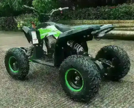 Электроквадроцикл MOTAX GEKKON 1300W
