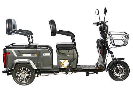 Электротрицикл E-motions TRIKE TRANSFORMER