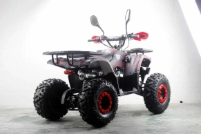 Квадроцикл MOTAX ATV Grizlik Premium 125cc