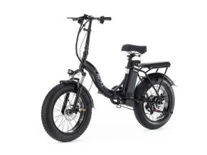 Электровелосипед MOTAX E-NOT BIG BOY 3 48V12A