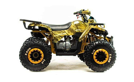 Квадроцикл Motoland (п) 125 WILD X А