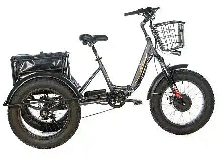 Трехколесный электровелосипед E-motions PANDA