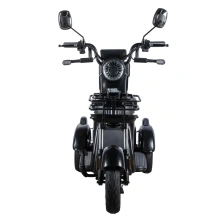 Электротрицикл White Siberia Sibtrike L 2000W городской