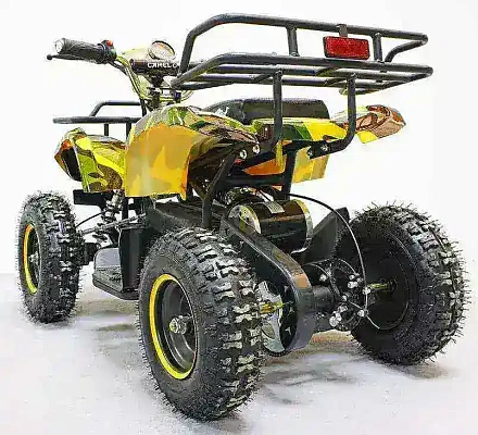 Электроквадроцикл Green Camel Гоби K21 (36V 800W R6 Цепной привод)