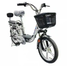 Электровелосипед Green Camel Транк-18 (R18 350W 48V) Алюм