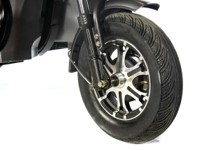 Электротрицикл E-motions TRIKE TRANSFORMER