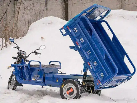 Электротрицикл TaiLG TL800