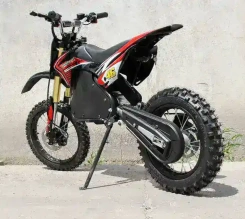 Электромотоцикл Green Camel Питбайк DB500, 48V 1500W R14/R12