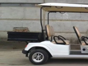 ГОЛЬФКАР Voltus GF6 CARGO